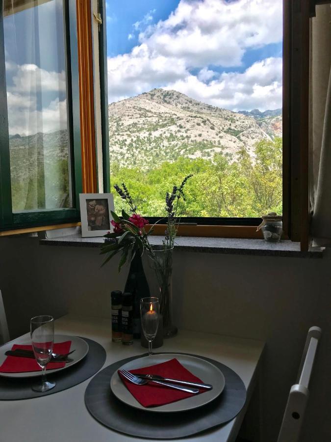 Apartment Pepa סטאריגרד-פקלניצה מראה חיצוני תמונה